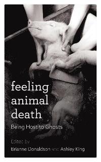 bokomslag Feeling Animal Death