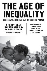 bokomslag Age of Inequality