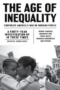 bokomslag Age of inequality - corporate americas war on working people