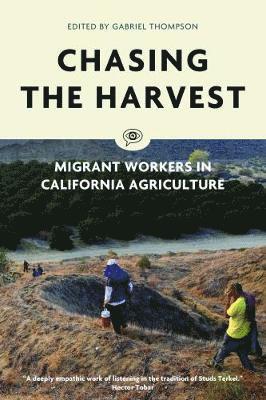 Voice of Witness, Gabriel Thompson - Chasing the Harvest, Inbunden