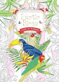 bokomslag Exotic Birds Us: Color by Numbers