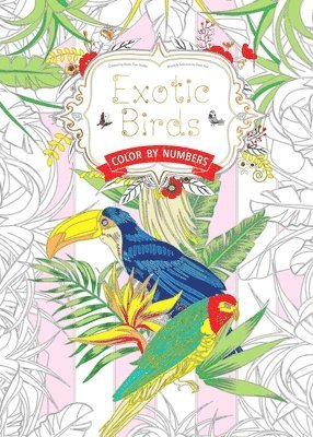 bokomslag Exotic Birds Us: Color by Numbers