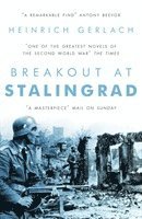 bokomslag Breakout at Stalingrad