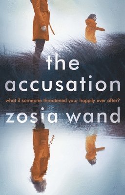 The Accusation 1