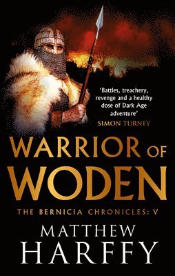 bokomslag Warrior Of Woden