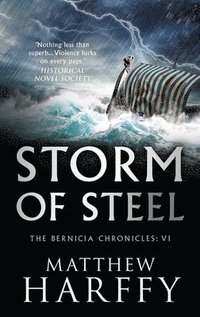 bokomslag Storm Of Steel