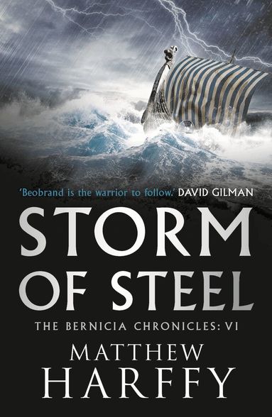 Matthew Harffy - Storm of Steel, Häftad