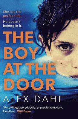 bokomslag Boy at the Door