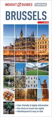 bokomslag Brussels - Insight Flexi Map