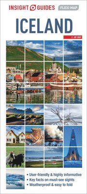 bokomslag Iceland - Insight Flexi Map