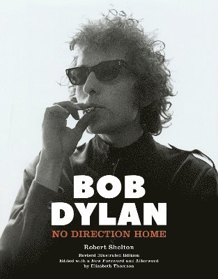 bokomslag Bob Dylan