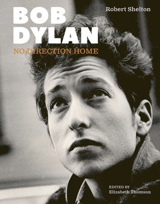 bokomslag Bob Dylan