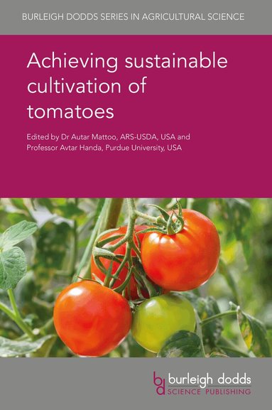 Dr A. K. Mattoo - Achieving Sustainable Cultivation of Tomatoes, Inbunden