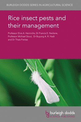 bokomslag Rice Insect Pests and Their Management