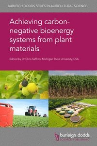 bokomslag Achieving Carbon-Negative Bioenergy Systems from Plant Materials
