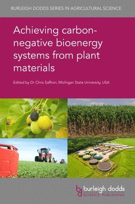 Achieving Carbon-Negative Bioenergy Systems from Plant Materials 1