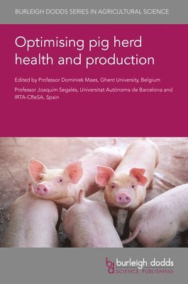 Prof Dominiek Maes, Dominiek Maes, Joaquim Segalés - Optimising Pig Herd Health and Production, Inbunden