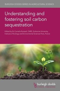 bokomslag Understanding and Fostering Soil Carbon Sequestration