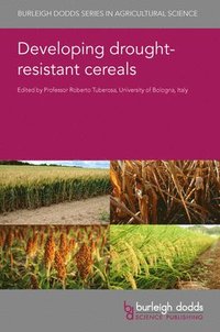 bokomslag Developing Drought-Resistant Cereals