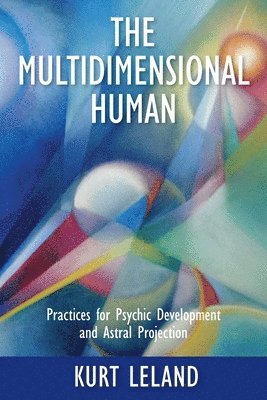 bokomslag Multidimensional Human