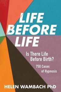 bokomslag Life Before Life