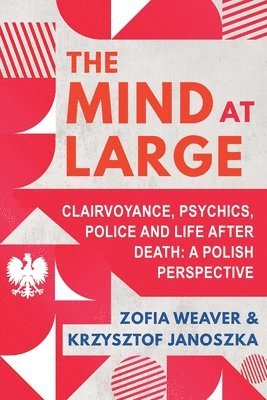 bokomslag Mind at Large