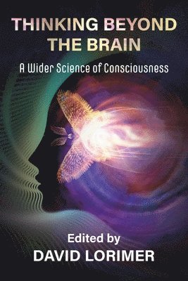 David Lorimer - Thinking Beyond the Brain, Häftad