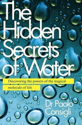 bokomslag The Hidden Secrets of Water