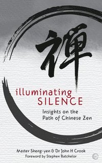 bokomslag Illuminating Silence