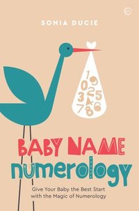 bokomslag Baby Name Numerology