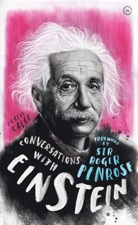 bokomslag Conversations with Einstein