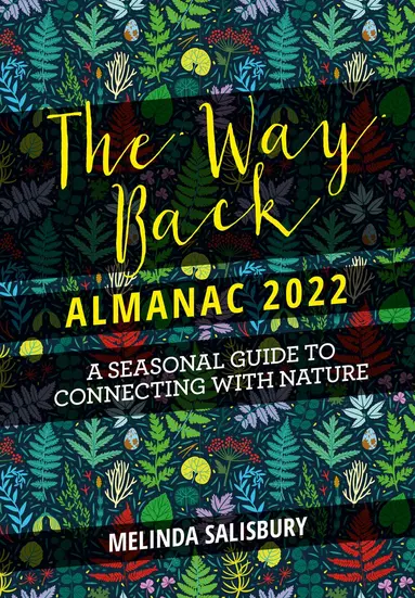 Melinda Salisbury - Way Back Almanac 2022, Inbunden