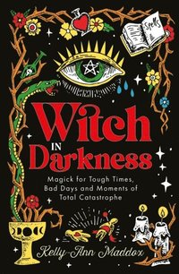 bokomslag Witch in Darkness