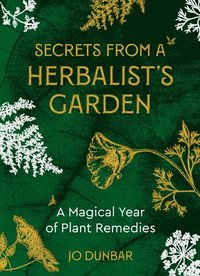 bokomslag Secrets From A Herbalist's Garden