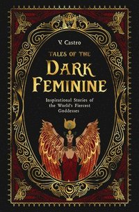 bokomslag Tales of the Dark Feminine