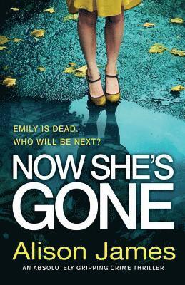 Alison James - Now She's Gone, Häftad
