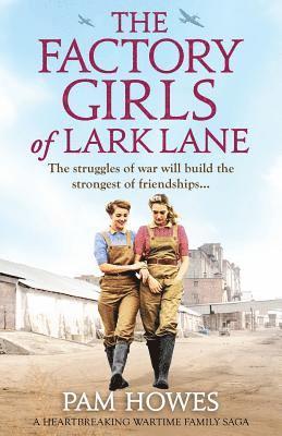 The Factory Girls of Lark Lane 1