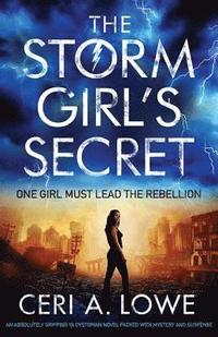 bokomslag The Storm Girl's Secret