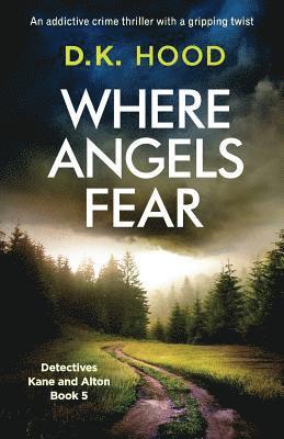D K Hood - Where Angels Fear, Häftad