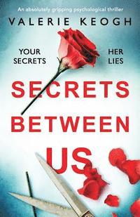 bokomslag Secrets Between Us