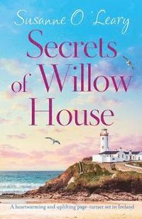 bokomslag Secrets of Willow House