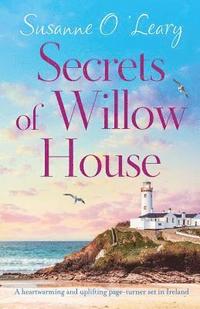 bokomslag Secrets of Willow House