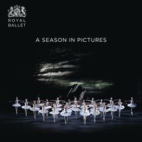bokomslag Royal Ballet: A Season in Pictures