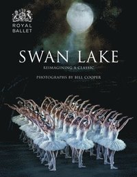 bokomslag Swan Lake