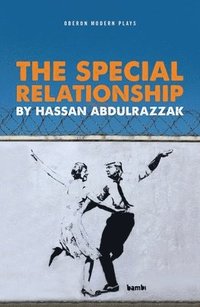 bokomslag The Special Relationship