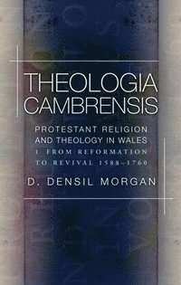 bokomslag Theologia Cambrensis