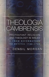 bokomslag Theologia Cambrensis