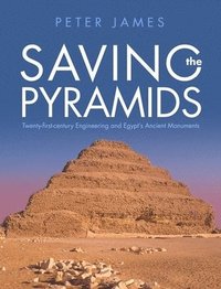 bokomslag Saving the Pyramids