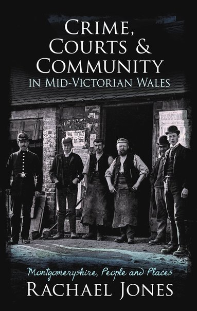 bokomslag Crime, Courts and Community in Mid-Victorian Wales