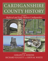 bokomslag Cardiganshire County History Volume 2
